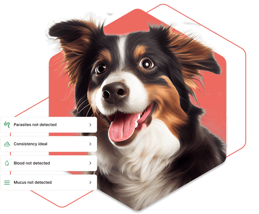 DIG Labs Ai-Powered Instant Pet Health Check