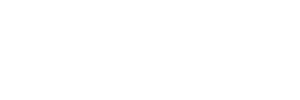 Nightwise logo