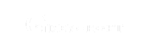 Greysoft logo