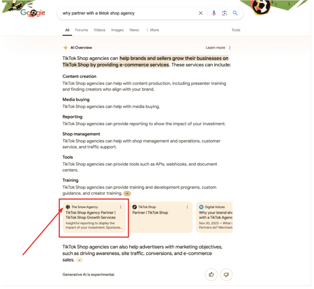 AI Overview TikTok Shop SEO Results