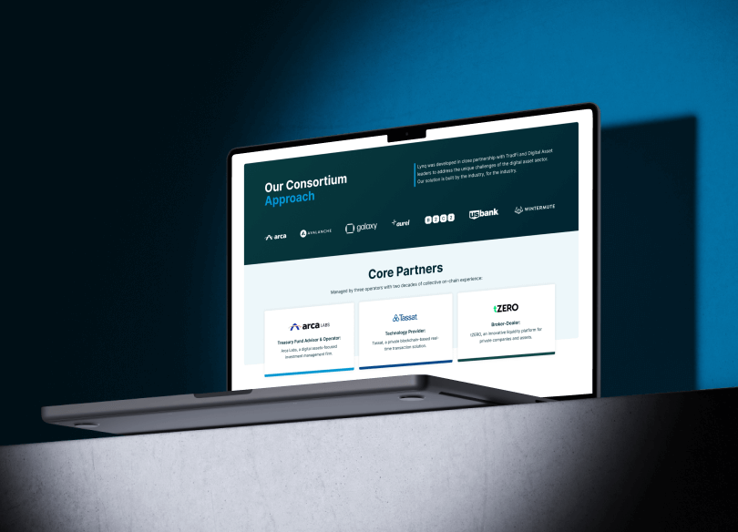 Lyqn_AVZ_CaseStudy_Web_2