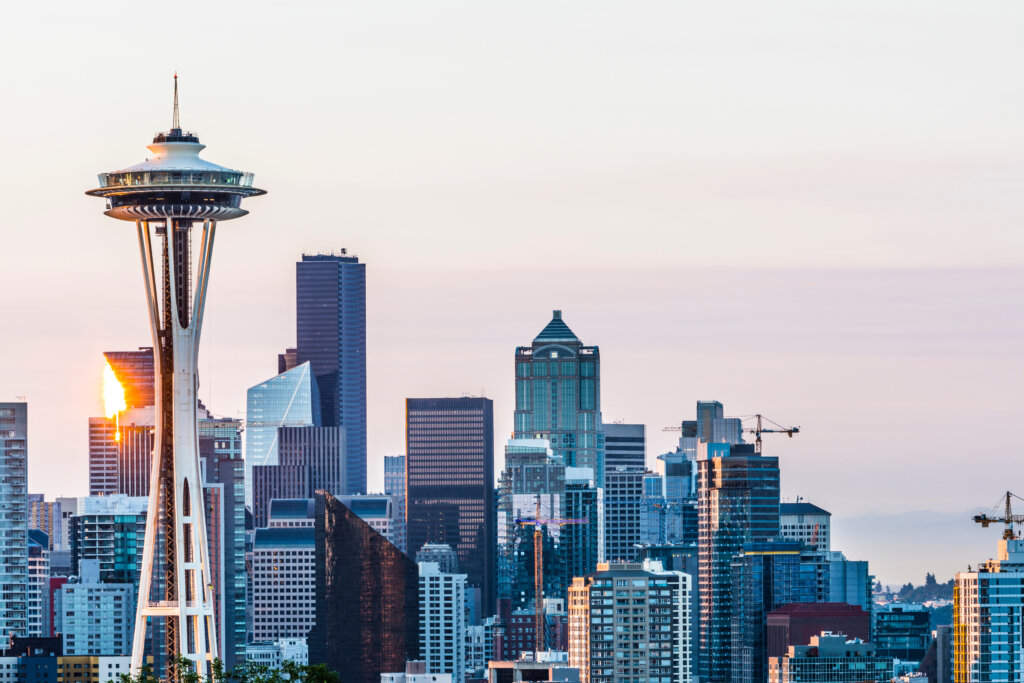 Top Reputation Management Firms in Seattle