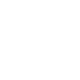 Top Website